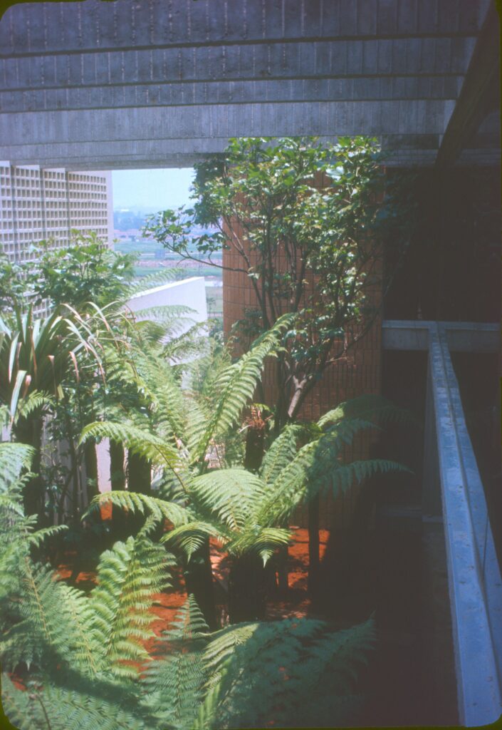 Jardim de samambaias sob viga de concreto com vista da cidade — P0003 — Residência Abílio dos Santos Diniz, Cidade Jardim — F016-P0003-1972-S03-D00005