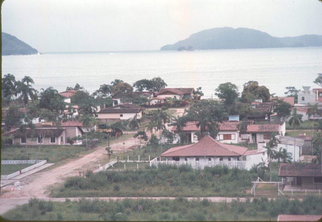 Panorâmica da vila litorânea com coqueiros e enseada com ilha ao fundo — P0007 — Residência Luiz França, Praia do Lázaro, Ubatuba — F016-P0007-1965-S03-D00008