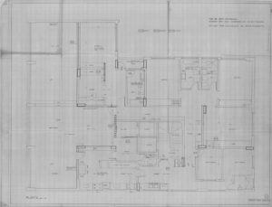 Planta — P0064