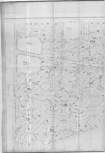 Prancha 39 — P0122