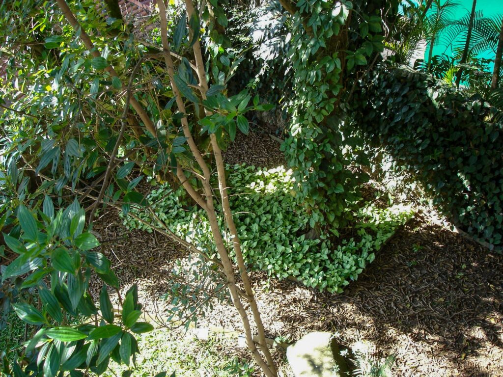 Jardim visto de cima (2005) — P0001 — Residência João Marino — F028-P0001-1969-S03-D00026