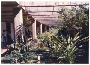 Corredor externo coberto por marquises de concreto, ladeado por vegetação densa, com pessoas caminhando ao fundo — P0015 — SESI — Ribeirão Preto