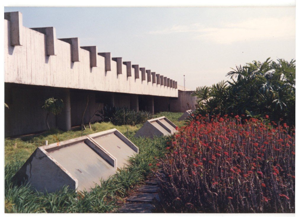Detalhe de muro ou brise de concreto com elementos salientes em padrão repetitivo, ladeado por jardim com arbusto de flores vermelhas — P0015 — SESI — Ribeirão Preto — F009-P0015-1973-S03-D00062