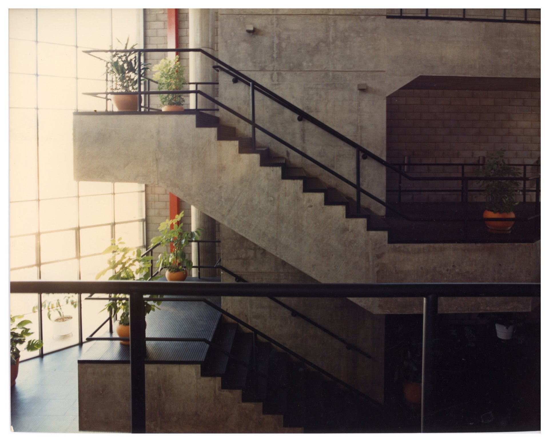 Escadas de concreto com guarda-corpos metálicos sob cobertura de vidro, ladeadas por vasos com plantas — P0060 — SESI — Marília — F009-P0060-1984-S03-D00034