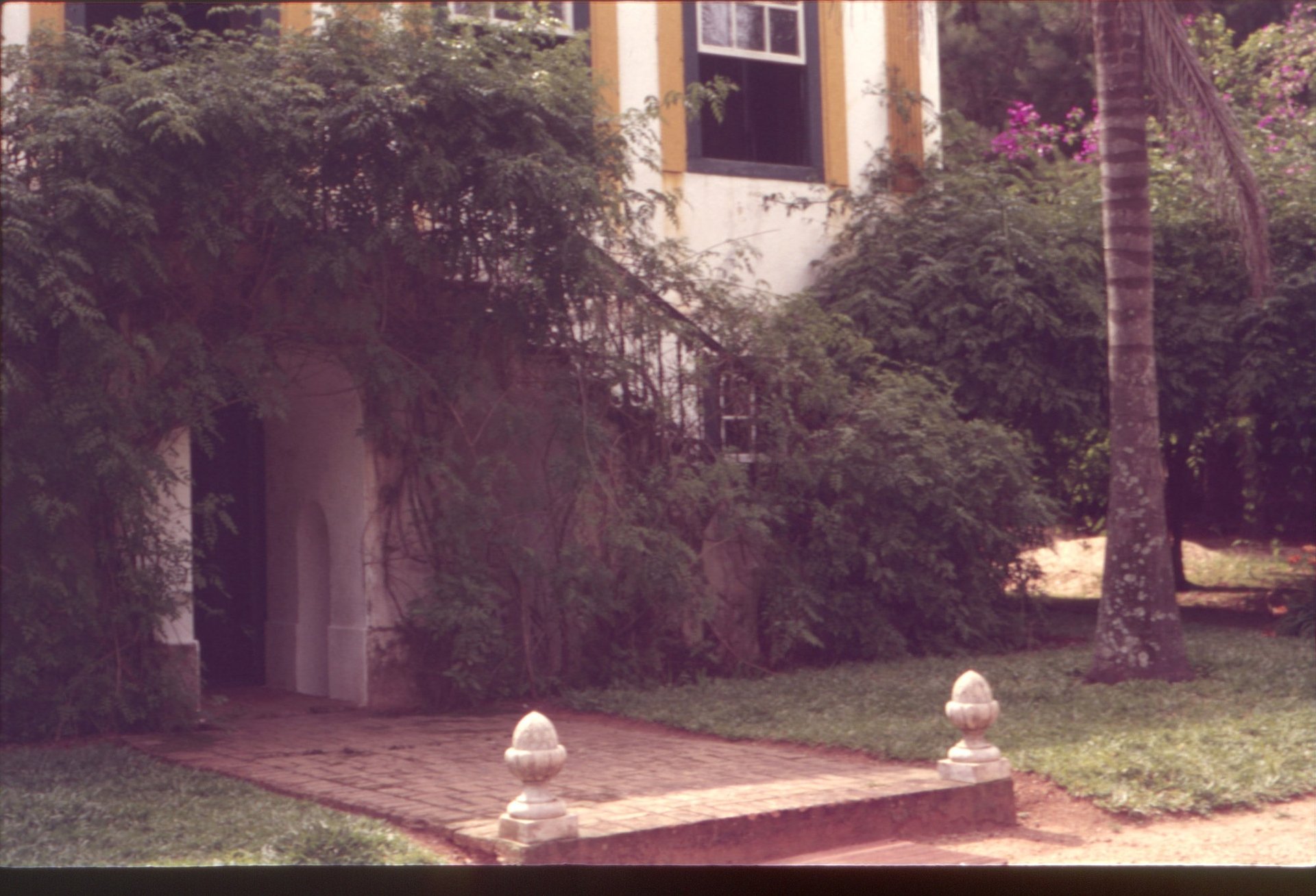 Fachada de edificação colonial com janelas emolduradas em amarelo, entrada em arco, caminho de pedras ladeado por remates ornamentais e vegetação exuberante — P0024 — Fazenda Fernando Millan — F016-P0024-1981-S03-D00008