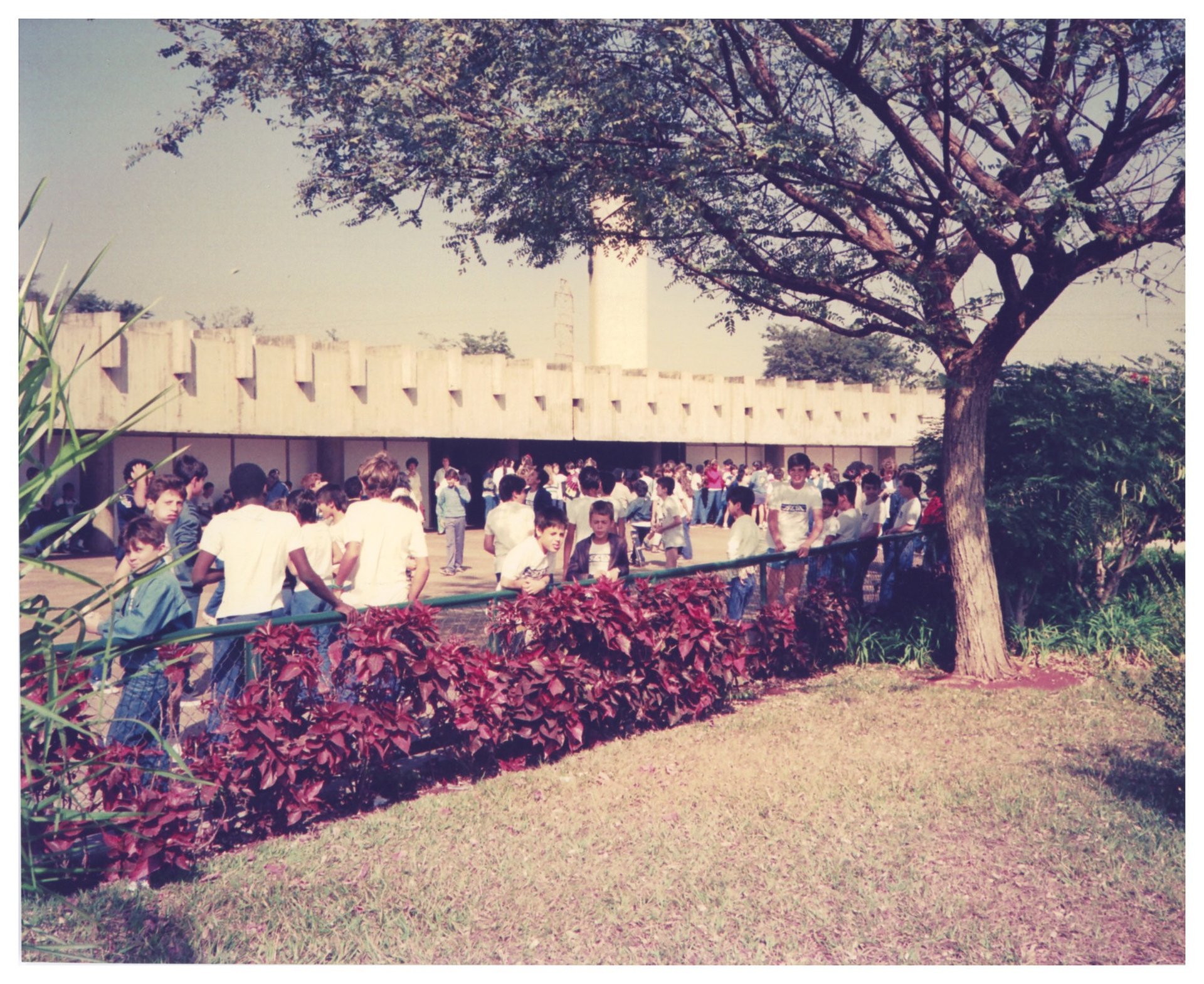 Grupo de pessoas reunidas em área externa junto a muro de concreto com elementos triangulares, ao lado de canteiro de plantas vermelhas — P0015 — SESI — Ribeirão Preto — F009-P0015-1973-S03-D00026