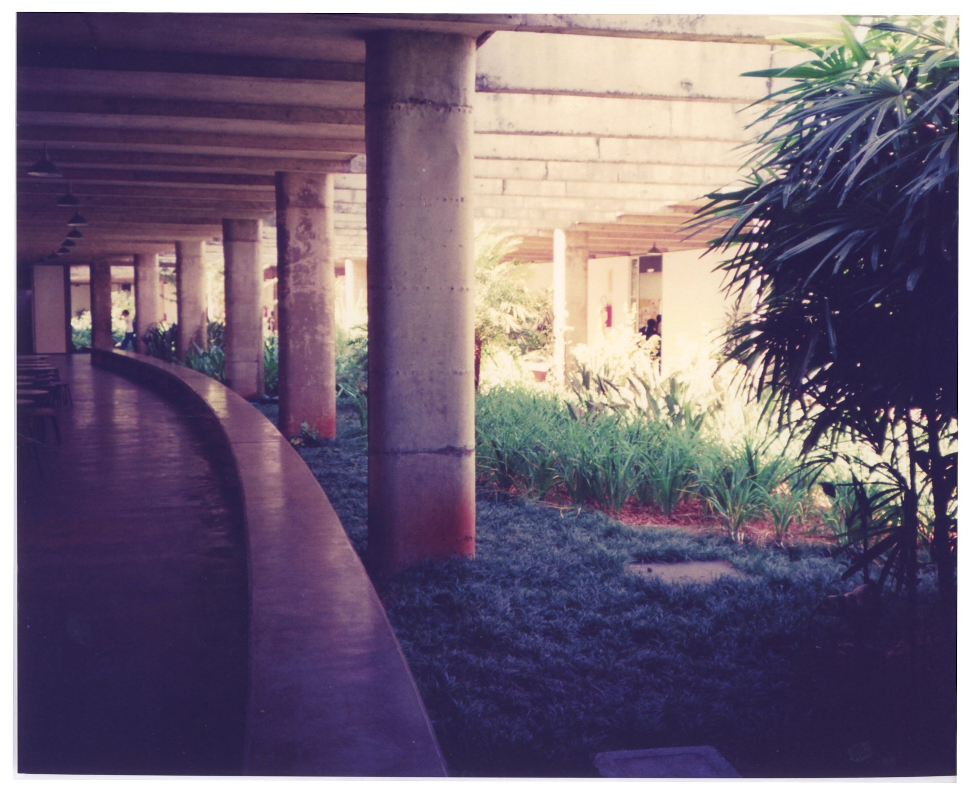 Passagem coberta por laje de concreto apoiada em pilares cilíndricos, com jardim interno ajardinado e vegetação tropical à direita — P0015 — SESI — Ribeirão Preto — F009-P0015-1973-S03-D00024