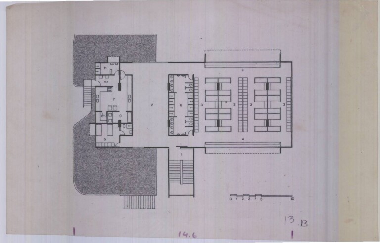 Planta