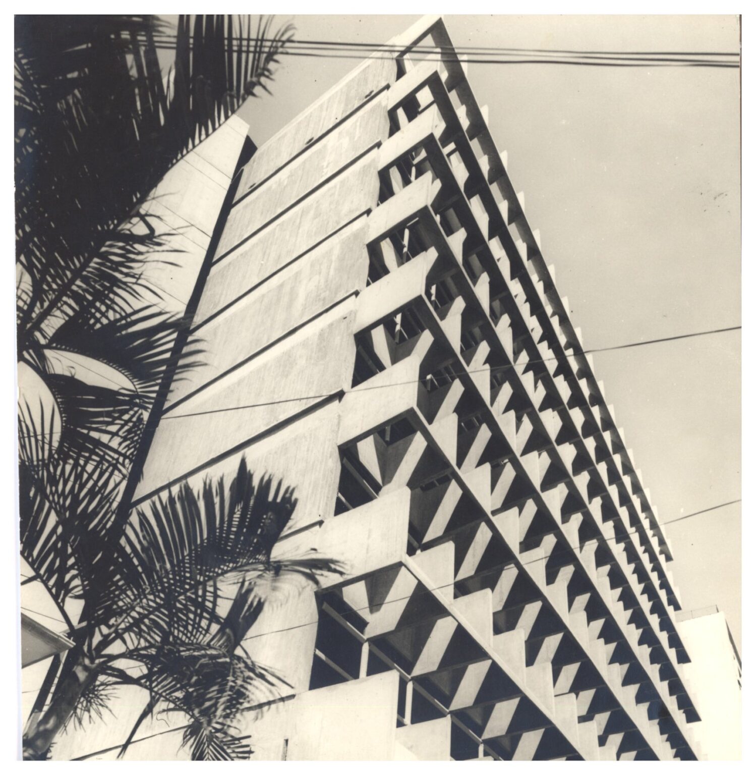 Vista ascendente da fachada de edifício com elementos de proteção solar (brises) triangulares de concreto, com folhas de palmeira em primeiro plano e fios aéreos cortando a composição — P0112 — SENAC — Av. Francisco Matarazzo — F009-P0112-1972-S03-D00016