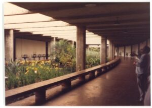 Vista de corredor coberto curvo com pilares de concreto, banco contínuo e canteiro de flores ao lado — P0015 — SESI — Ribeirão Preto