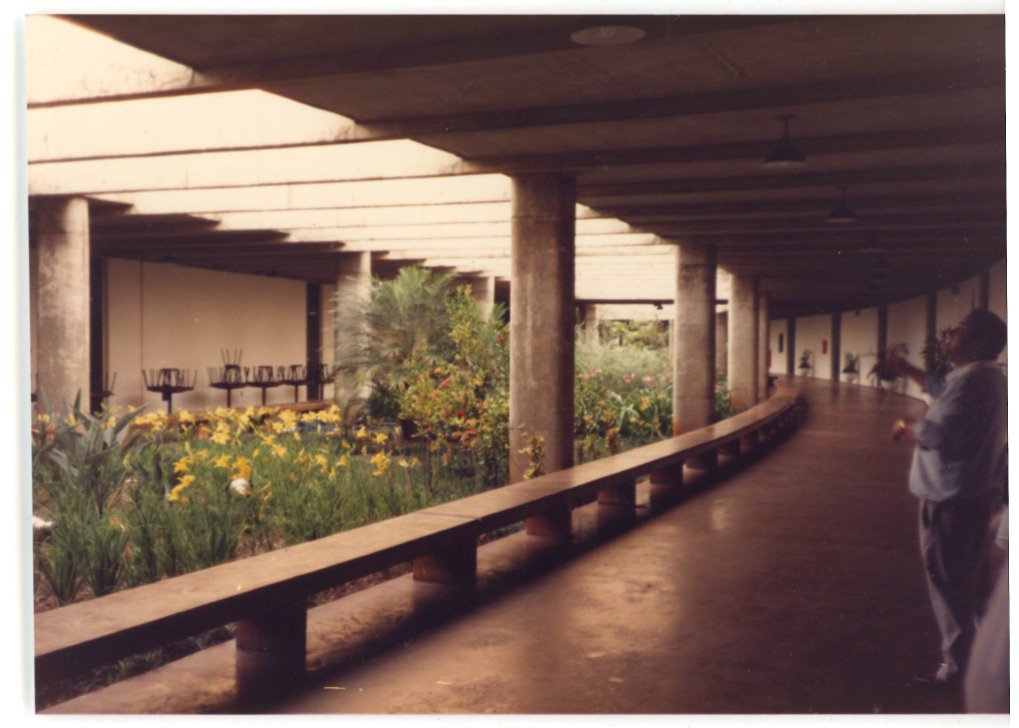 Vista de corredor coberto curvo com pilares de concreto, banco contínuo e canteiro de flores ao lado — P0015 — SESI — Ribeirão Preto — F009-P0015-1973-S03-D00038