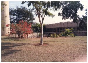 Vista de jardim com árvore e arbusto florido em primeiro plano, tendo ao fundo edificação de cobertura ondulada em concreto — P0015 — SESI — Ribeirão Preto