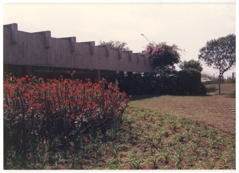 Vista de jardim com muro de concreto em arcos, canteiro de flores vermelhas e árvores ao fundo — P0015 — SESI — Ribeirão Preto — F009-P0015-1973-S03-D00039