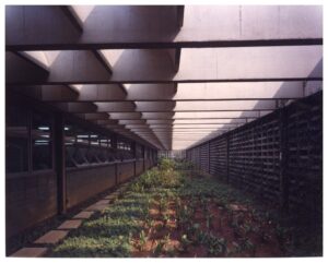 Vista de um corredor ou passarela coberta, com estrutura modular de concreto formando caixotões piramidais no piso/teto, muro vazado (cobogó) à esquerda, esquadrias inclinadas de vidro à direita e vegetação pendendo da cobertura superior — P0055 — SESI — São José dos Campos