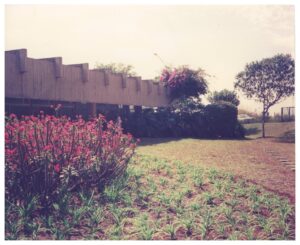 Vista do jardim e da cobertura de concreto de um edifício, com canteiro de flores em primeiro plano — P0015 — SESI — Ribeirão Preto