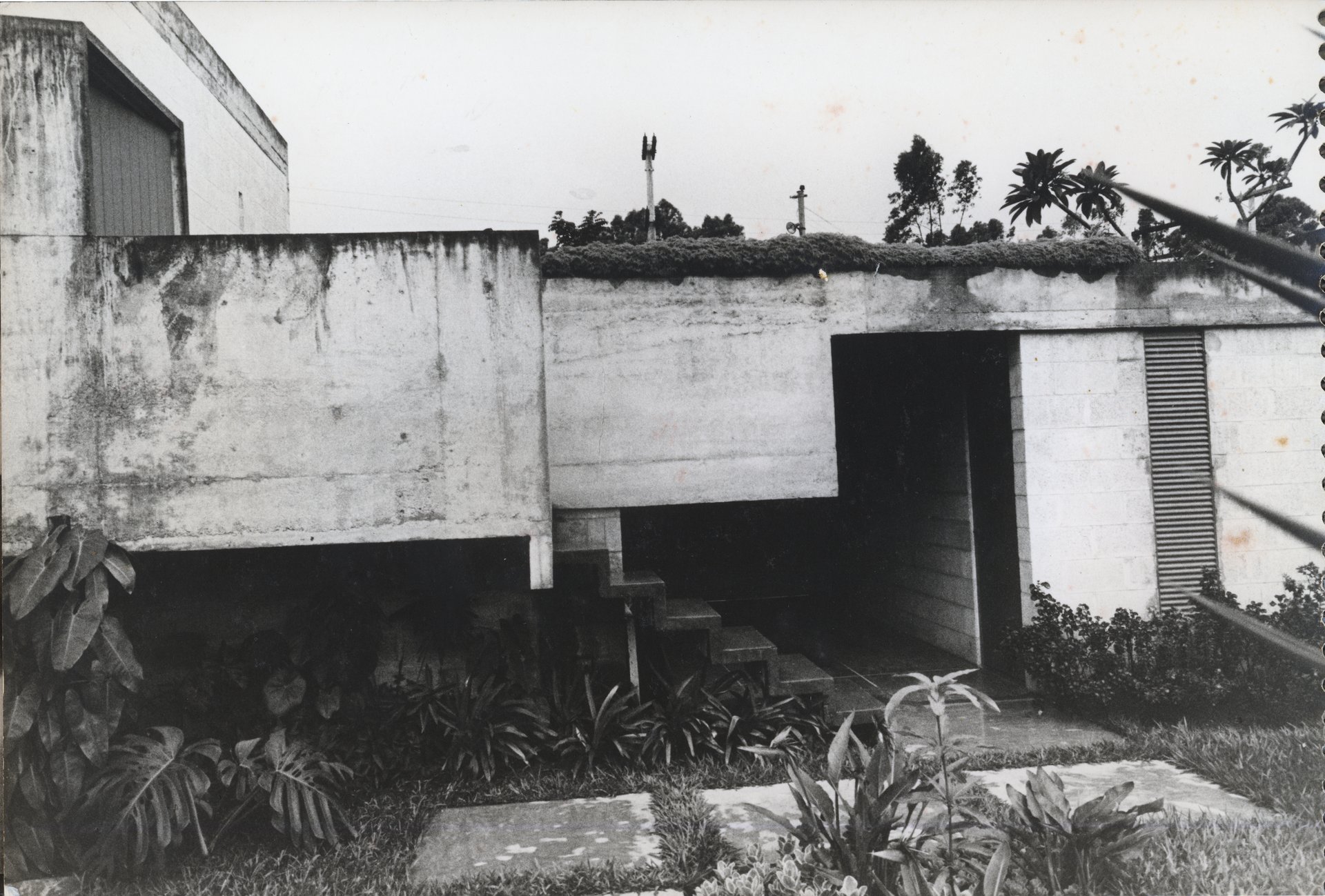 Vista externa de edificação em concreto aparente, mostrando volume em balanço sobre vão de acesso com escada, cobertura ajardinada e jardim tropical em primeiro plano — P0001 — Residência Teresa Martino — F001-P0001-0000-S03-D90003