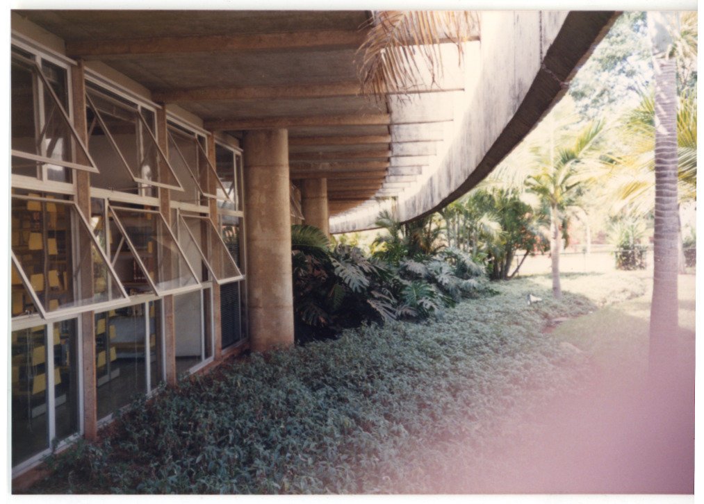 Vista externa de edifício sobre pilotis, com fachada de esquadrias de vidro basculantes e jardim com vegetação tropical ao longo do passeio coberto — P0015 — SESI — Ribeirão Preto — F009-P0015-1973-S03-D00040