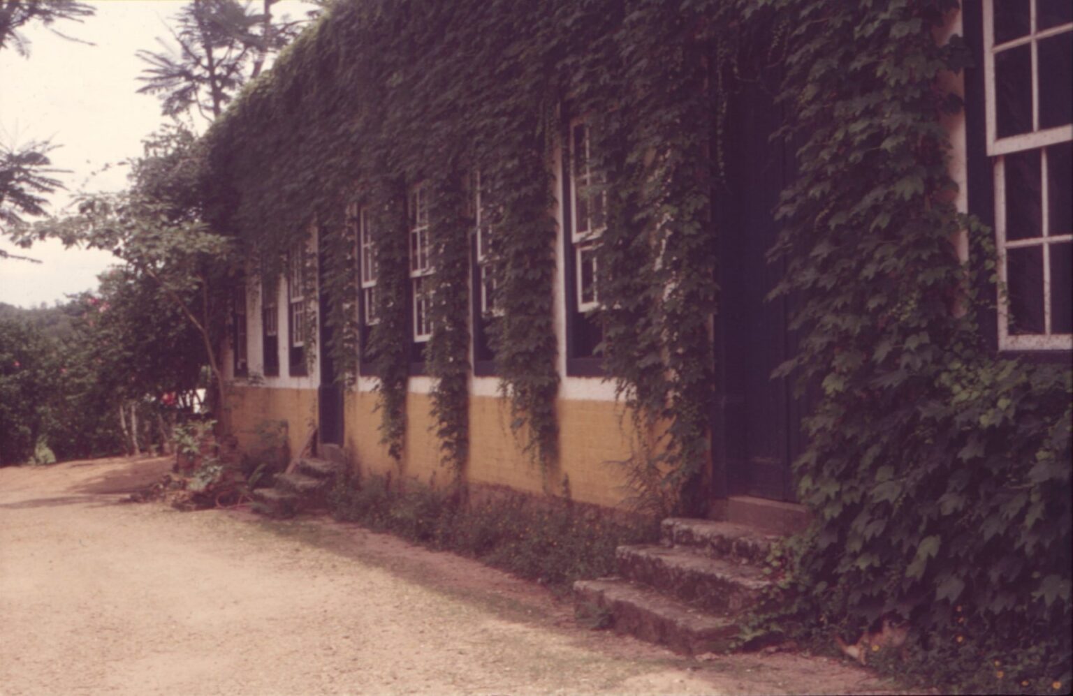 Vista externa de fachada amarela e branca, parcialmente coberta por hera, com janelas e porta de madeira escura, acesso por escada de pedra e caminho de terra — P0024 — Fazenda Fernando Millan — F016-P0024-1981-S03-D00014