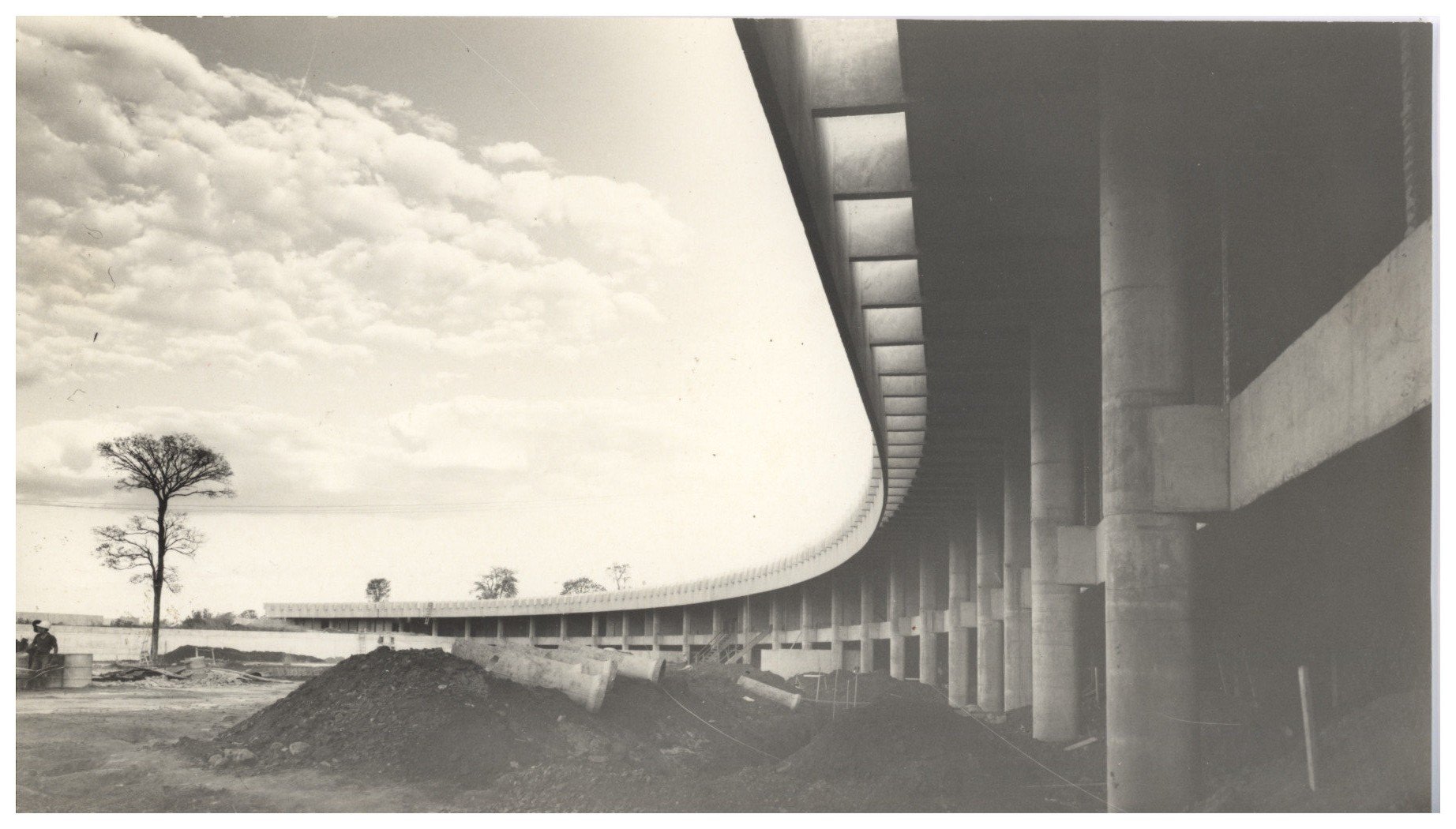 Vista inferior de estrutura curva de concreto, com pilares e vigas se estendendo ao longo de grande extensão — P0015 — SESI — Ribeirão Preto — F009-P0015-1973-S03-D00018