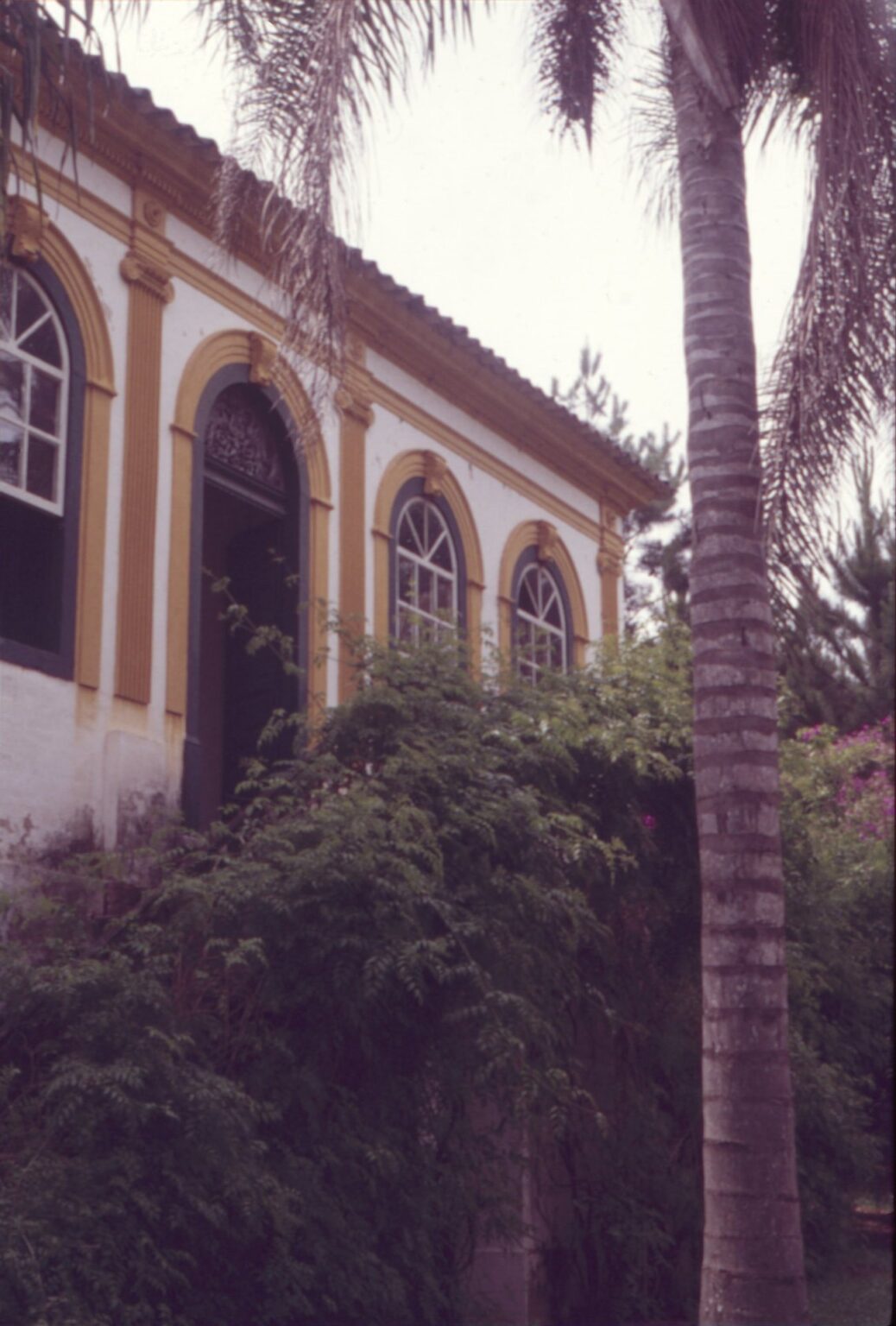 Vista parcial da fachada de edificação antiga, com portas e janelas em arco emolduradas, telhado colonial e vegetação (palmeira e arbustos) em primeiro plano — P0024 — Fazenda Fernando Millan — F016-P0024-1981-S03-D00015